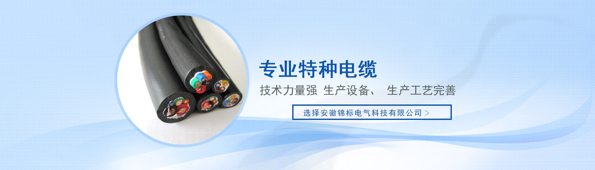 安徽锦标电气科技有限公司